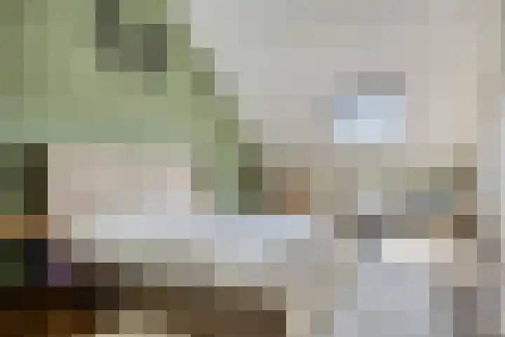 Schenkelkamp 23 Dussen thumbnail 29
