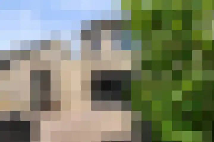 Schenkelkamp 23 Dussen thumbnail 33
