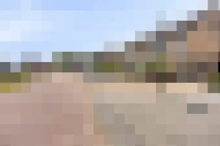Schenkelkamp 23 Dussen thumbnail 39