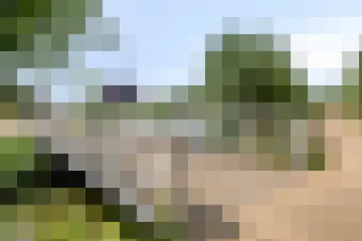 Schenkelkamp 23 Dussen thumbnail 41
