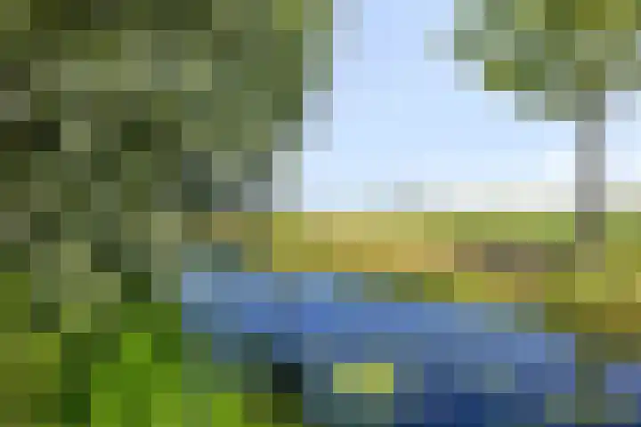 Schenkelkamp 23 Dussen thumbnail 42