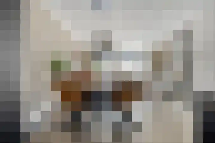 Schenkelkamp 23 Dussen thumbnail 6