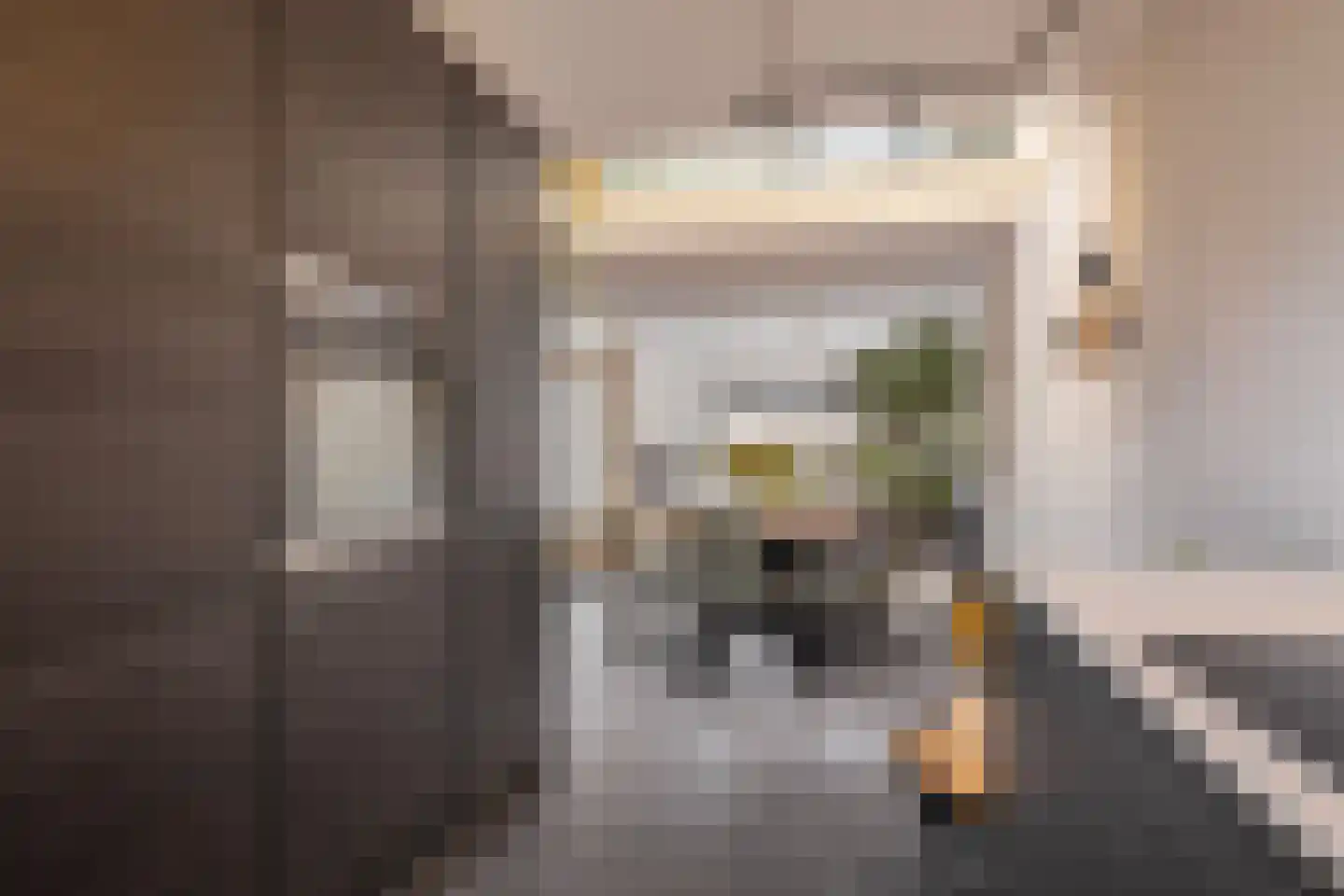 Schenkelskamp 23 Elst thumbnail 17