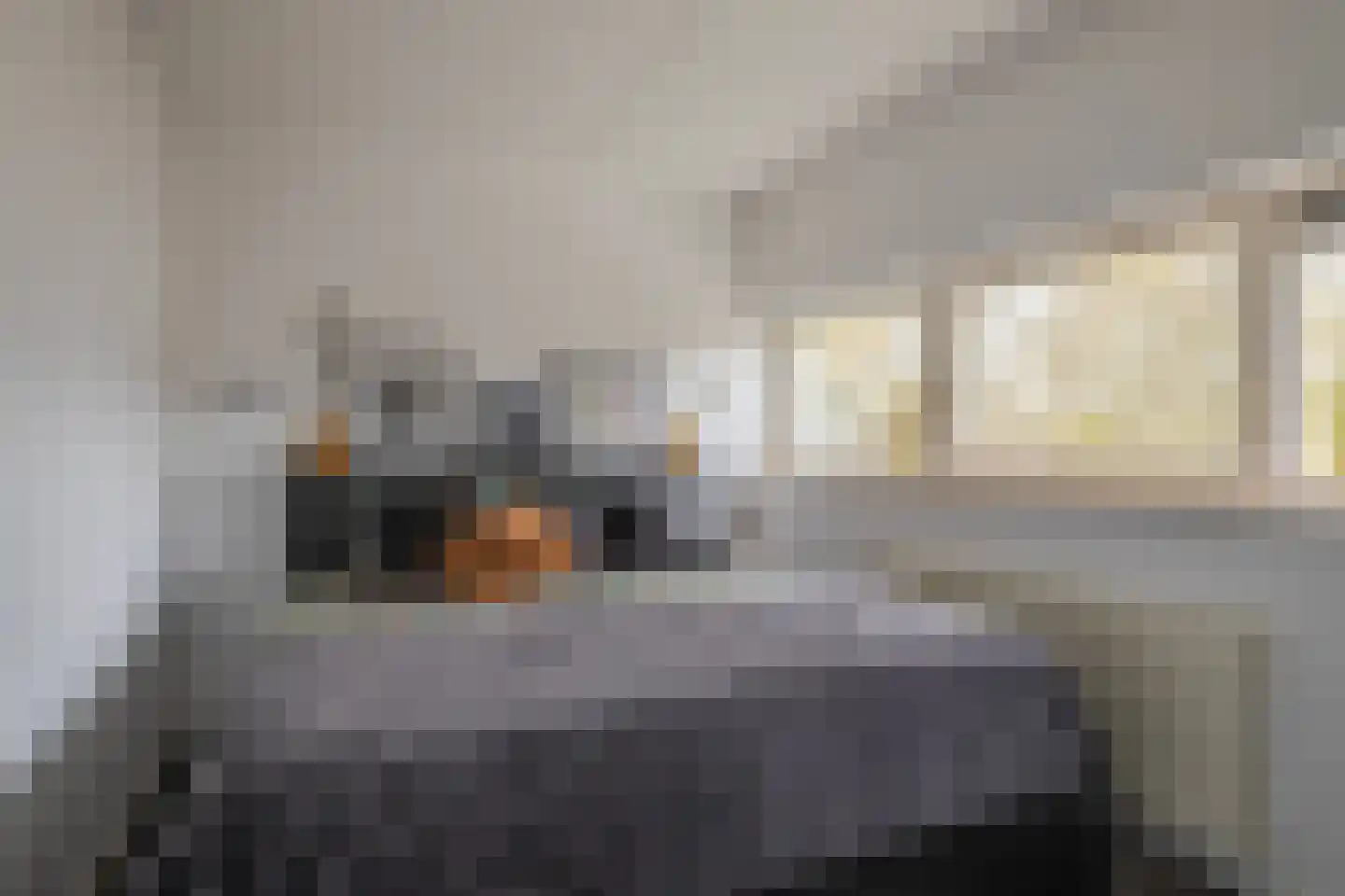 Schenkelskamp 23 Elst thumbnail 24
