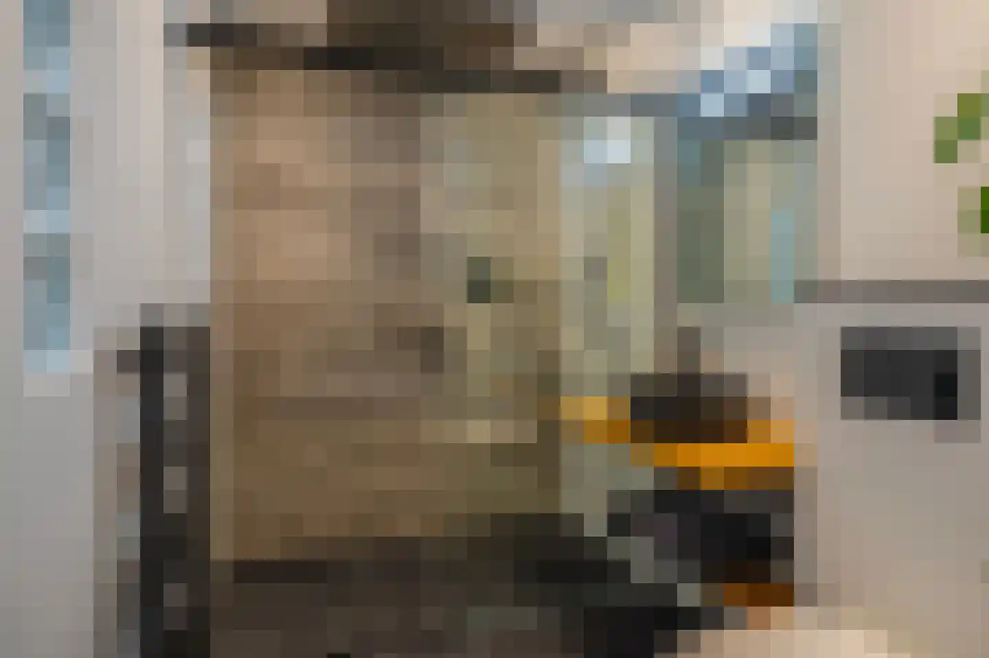 Schenkelskamp 23 Elst thumbnail 25
