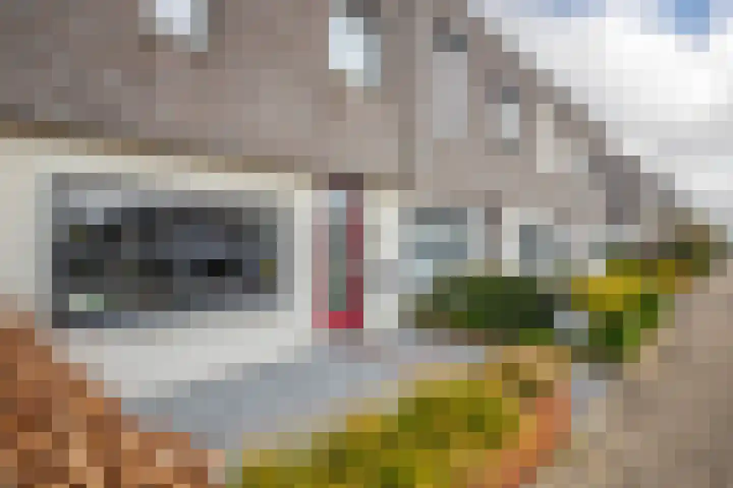 Schenkelskamp 23 Elst thumbnail 33