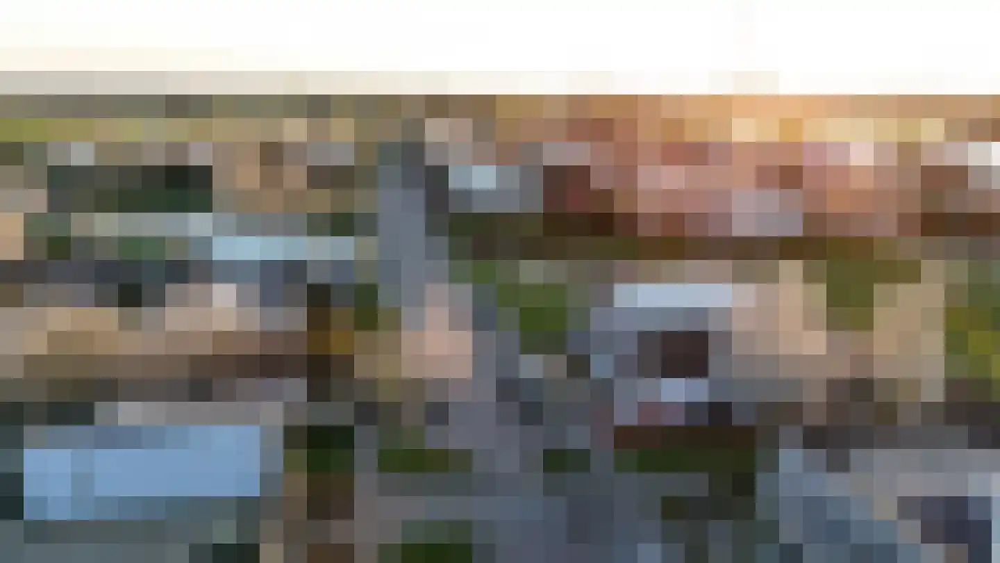 Schenkelskamp 23 Elst thumbnail 35