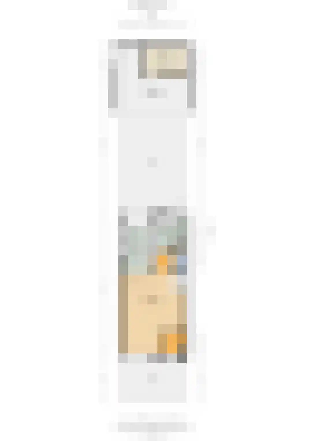 Schenkelskamp 23 Elst thumbnail 38