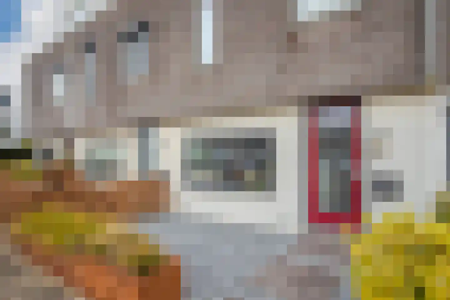 Schenkelskamp 23 Elst thumbnail 6