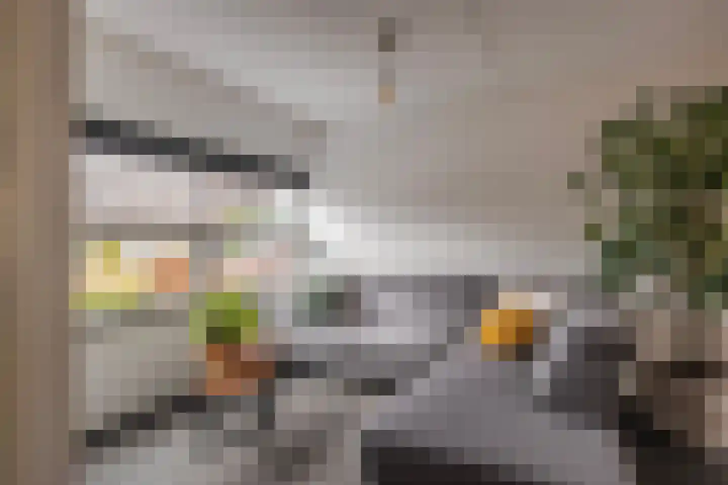 Schenkelskamp 23 Elst thumbnail 9