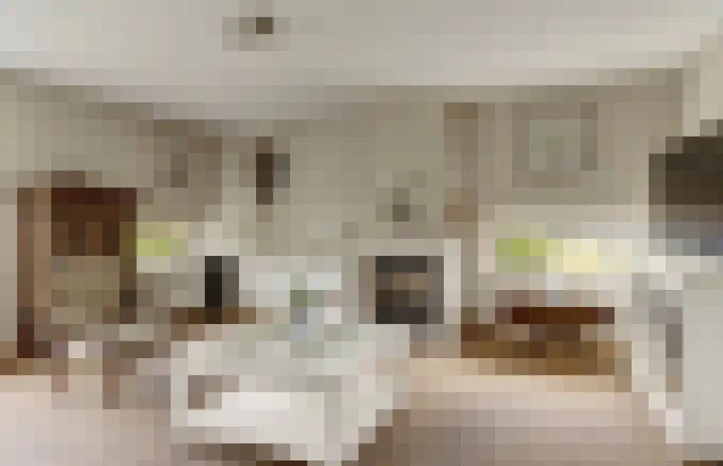 Schenkelskamp 3 Elst thumbnail 10
