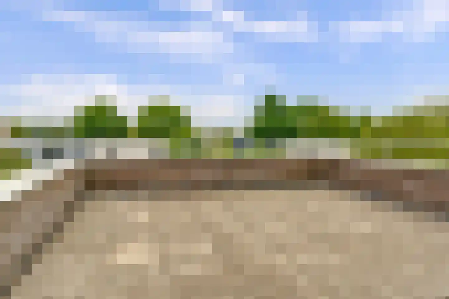 Schenkelskamp 3 Elst thumbnail 28