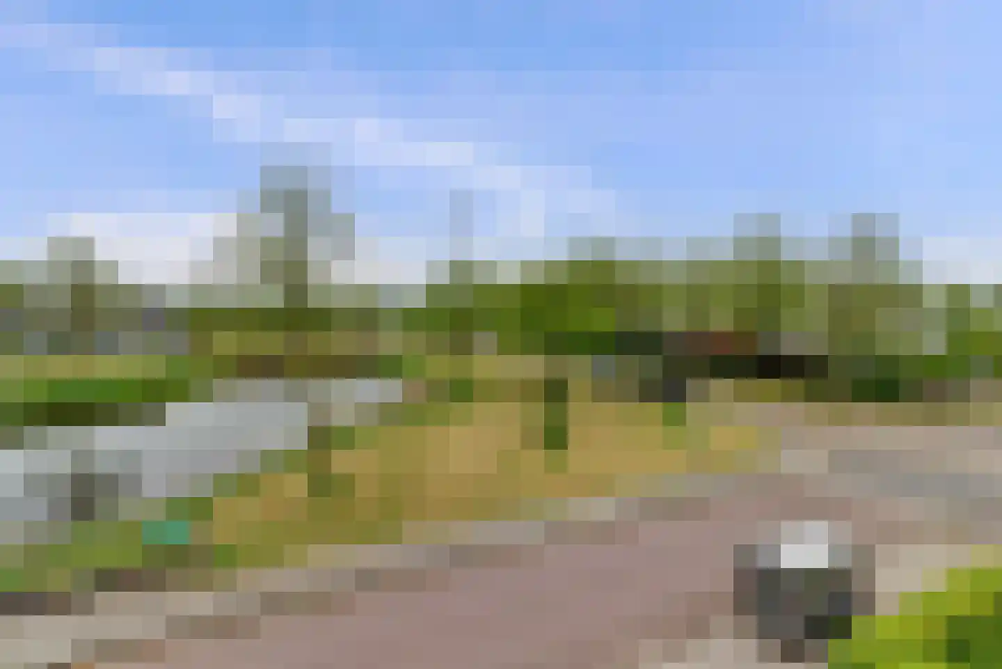Schenkelskamp 3 Elst thumbnail 4