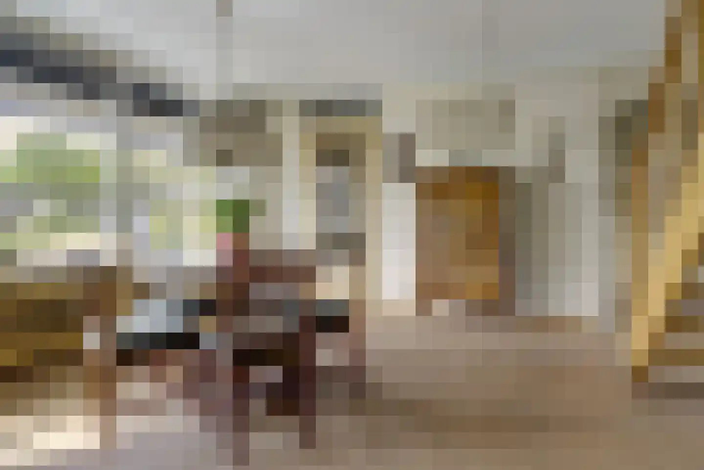 Schenkelskamp 3 Elst thumbnail 7
