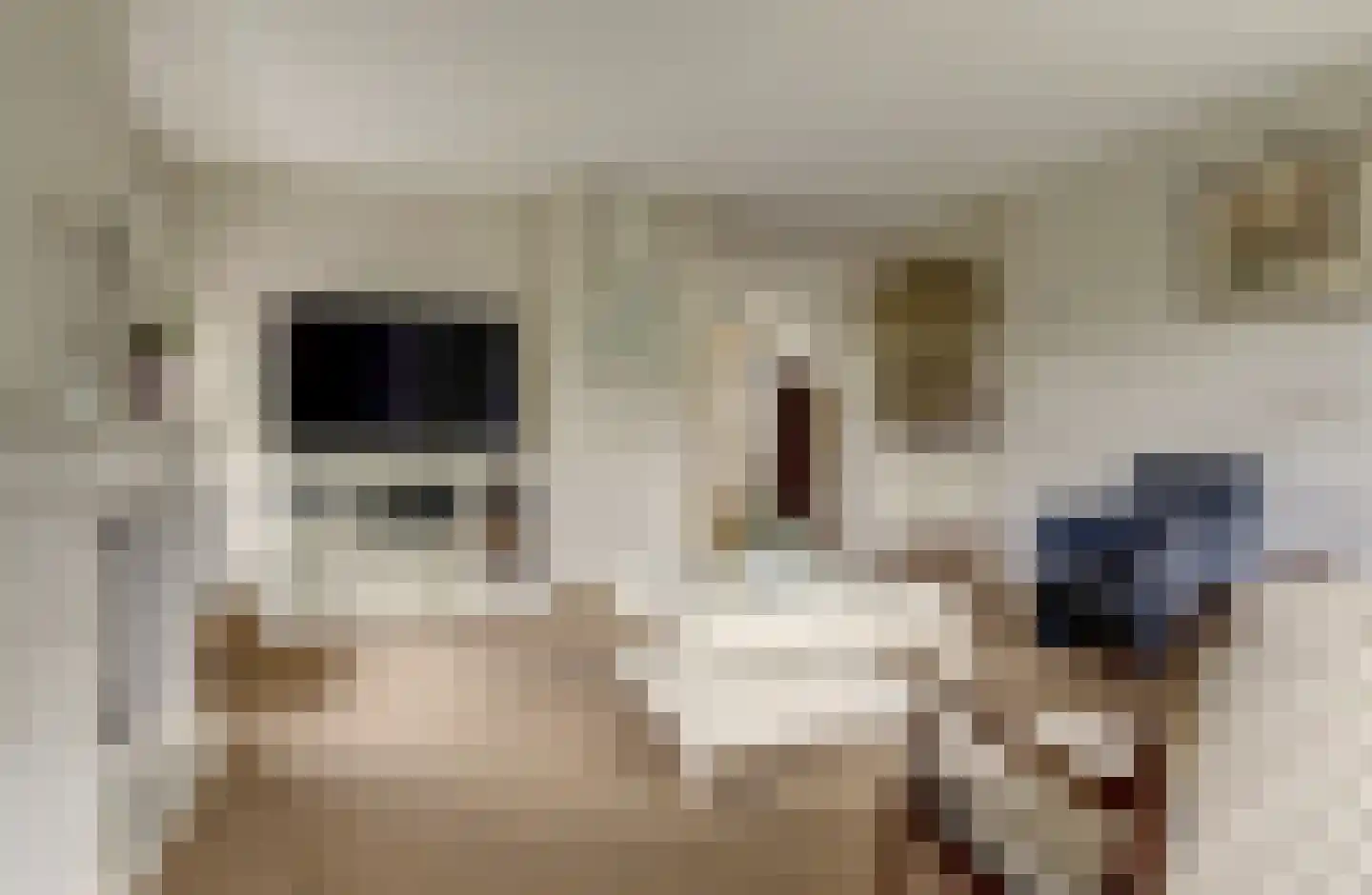 Schenkelskamp 3 Elst thumbnail 9