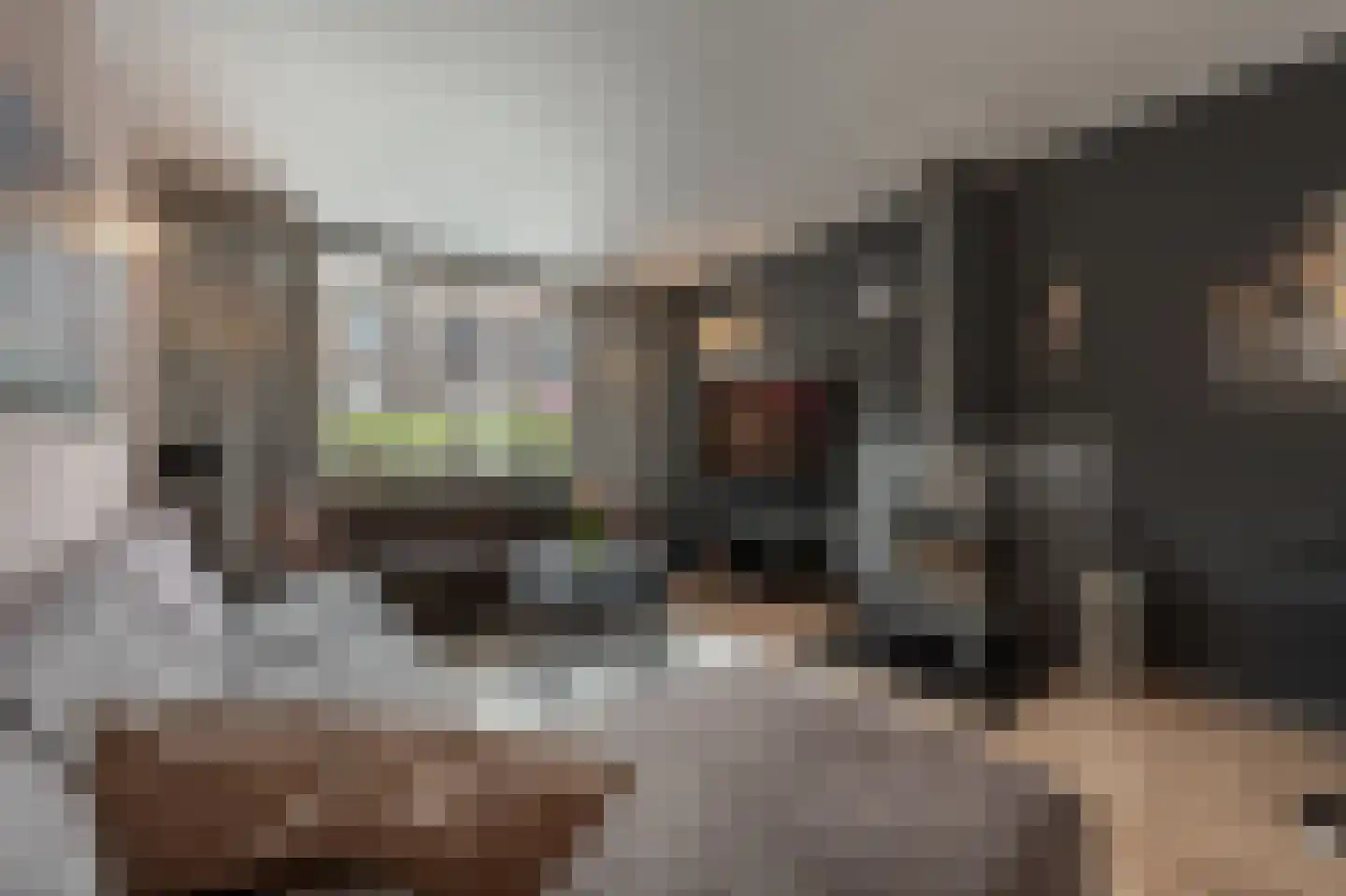 Schenkelstraat 16 Rhoon thumbnail 10