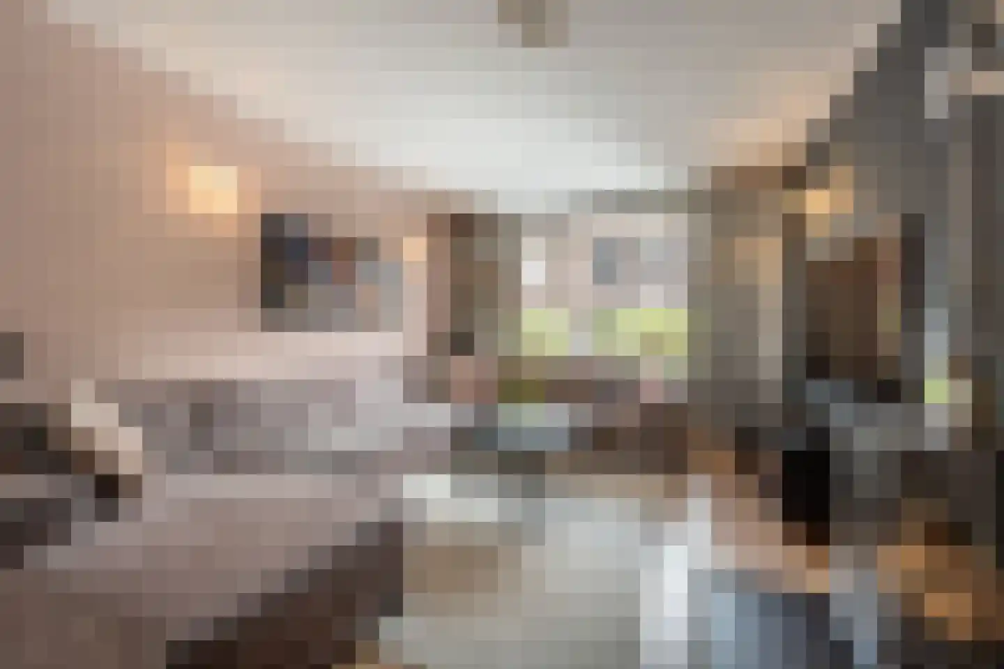 Schenkelstraat 16 Rhoon thumbnail 11