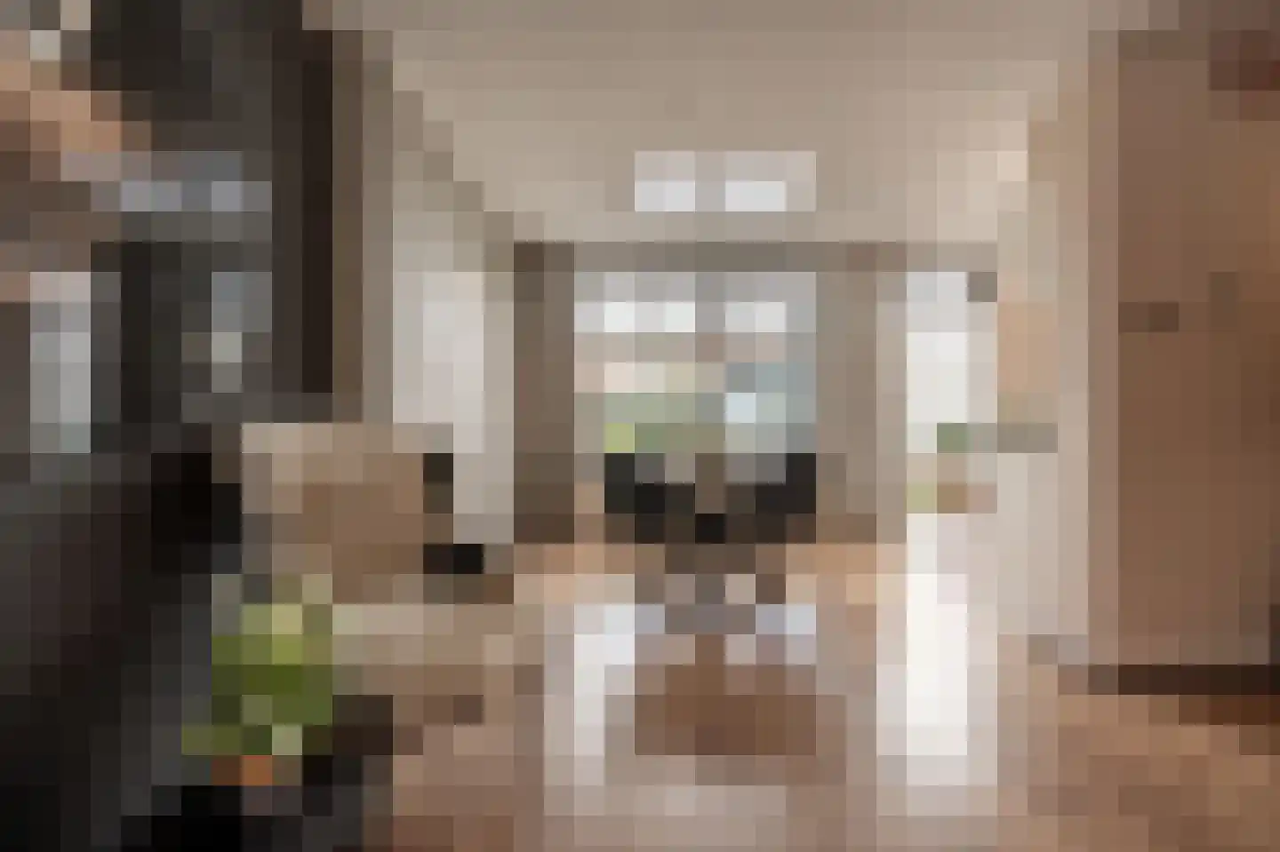 Schenkelstraat 16 Rhoon thumbnail 15