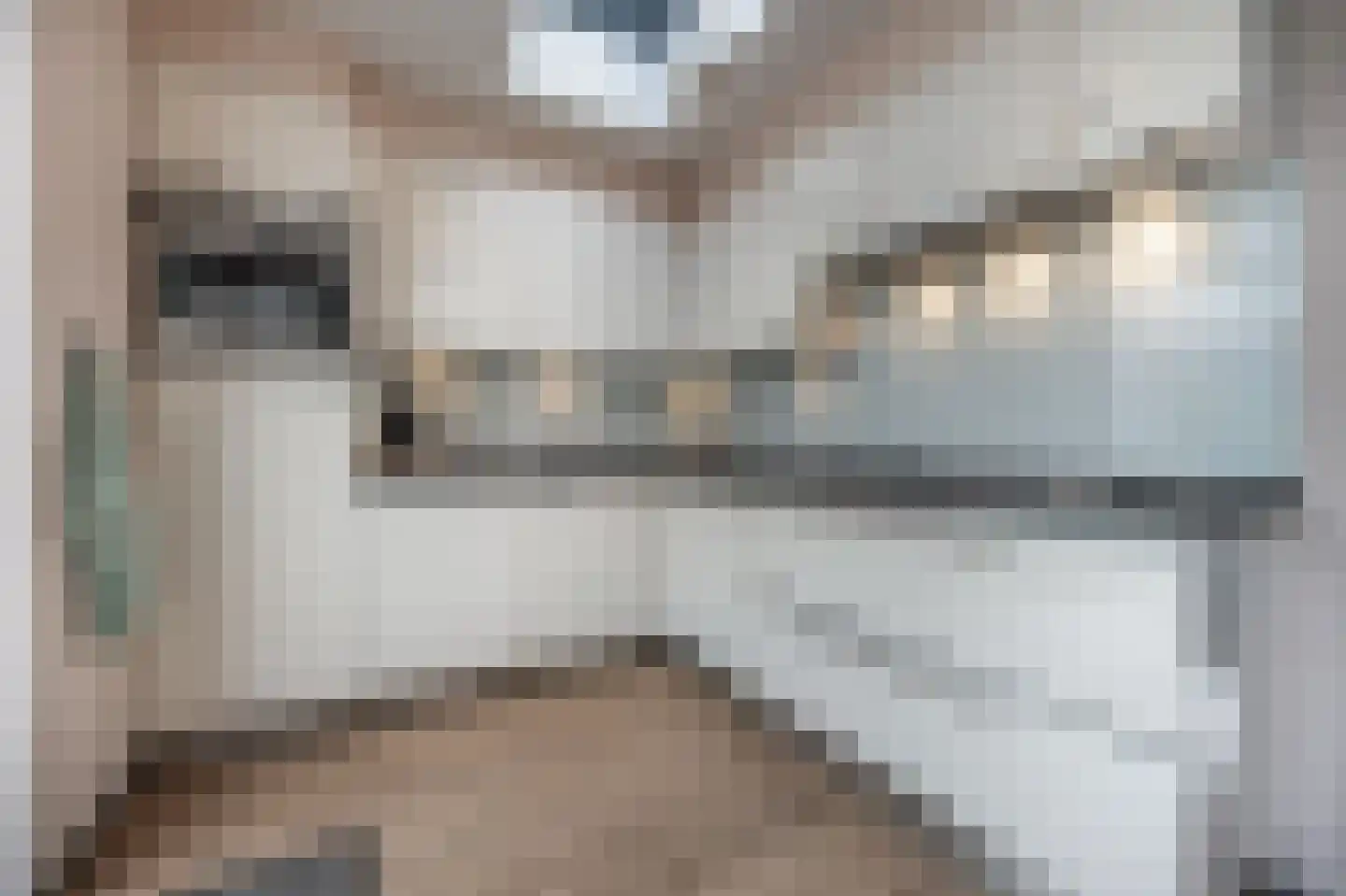 Schenkelstraat 16 Rhoon thumbnail 17