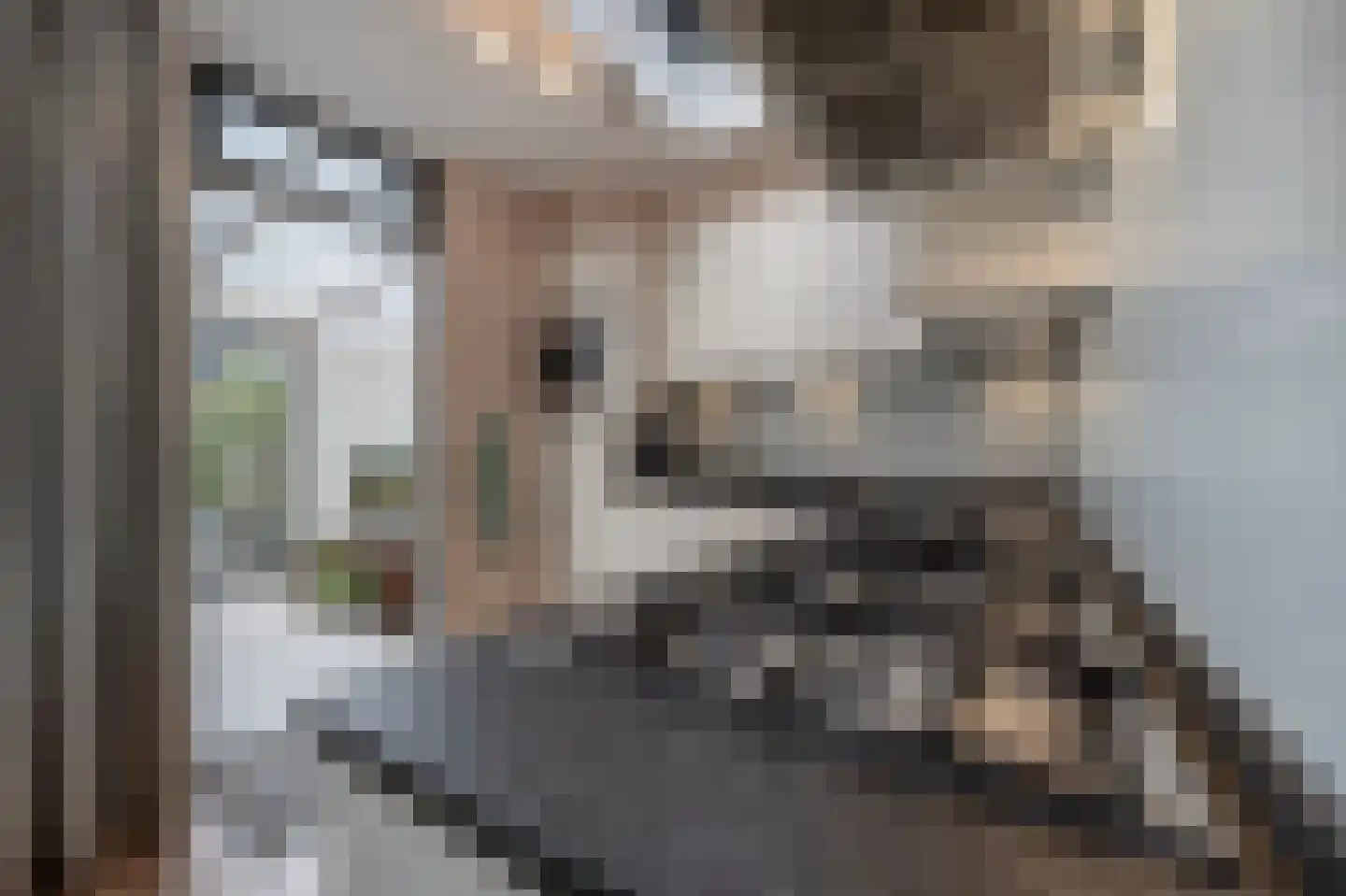 Schenkelstraat 16 Rhoon thumbnail 18