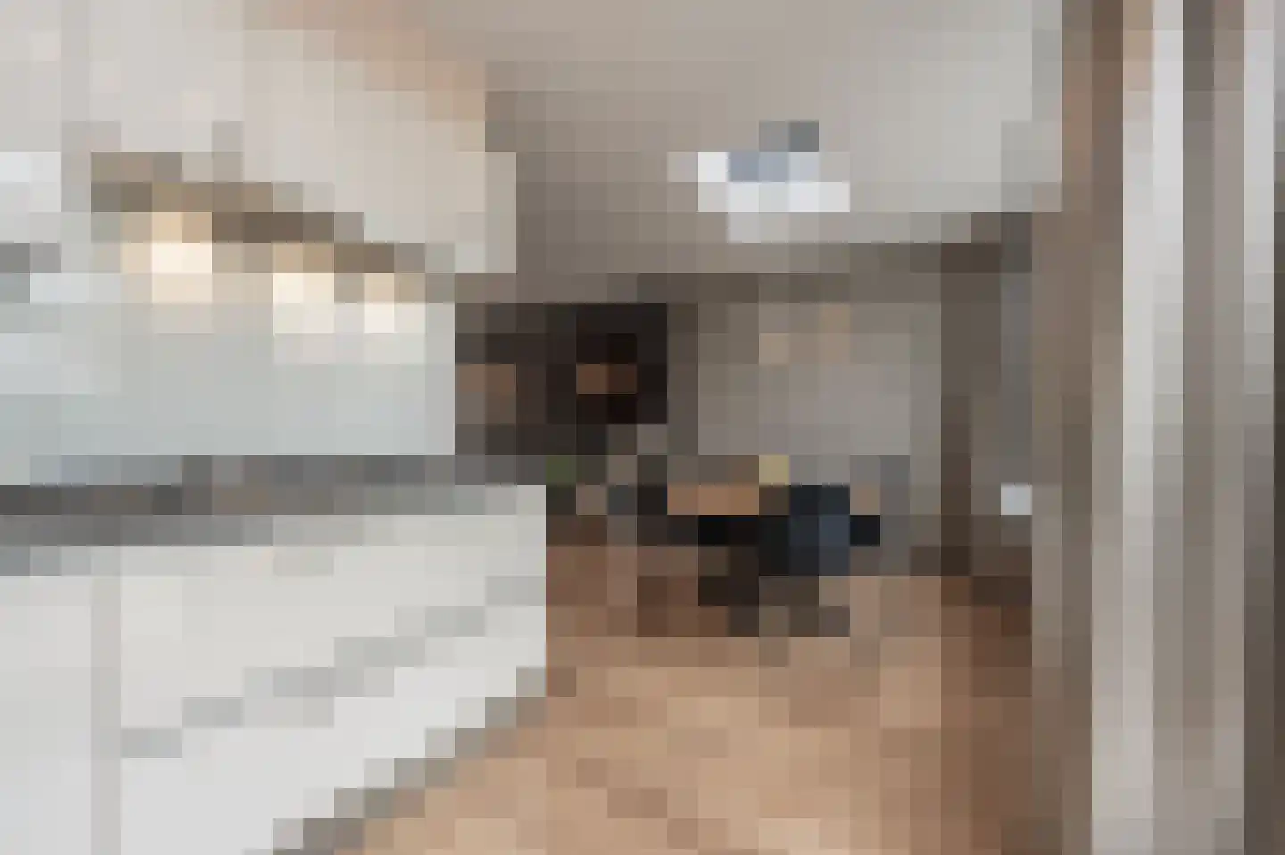 Schenkelstraat 16 Rhoon thumbnail 19