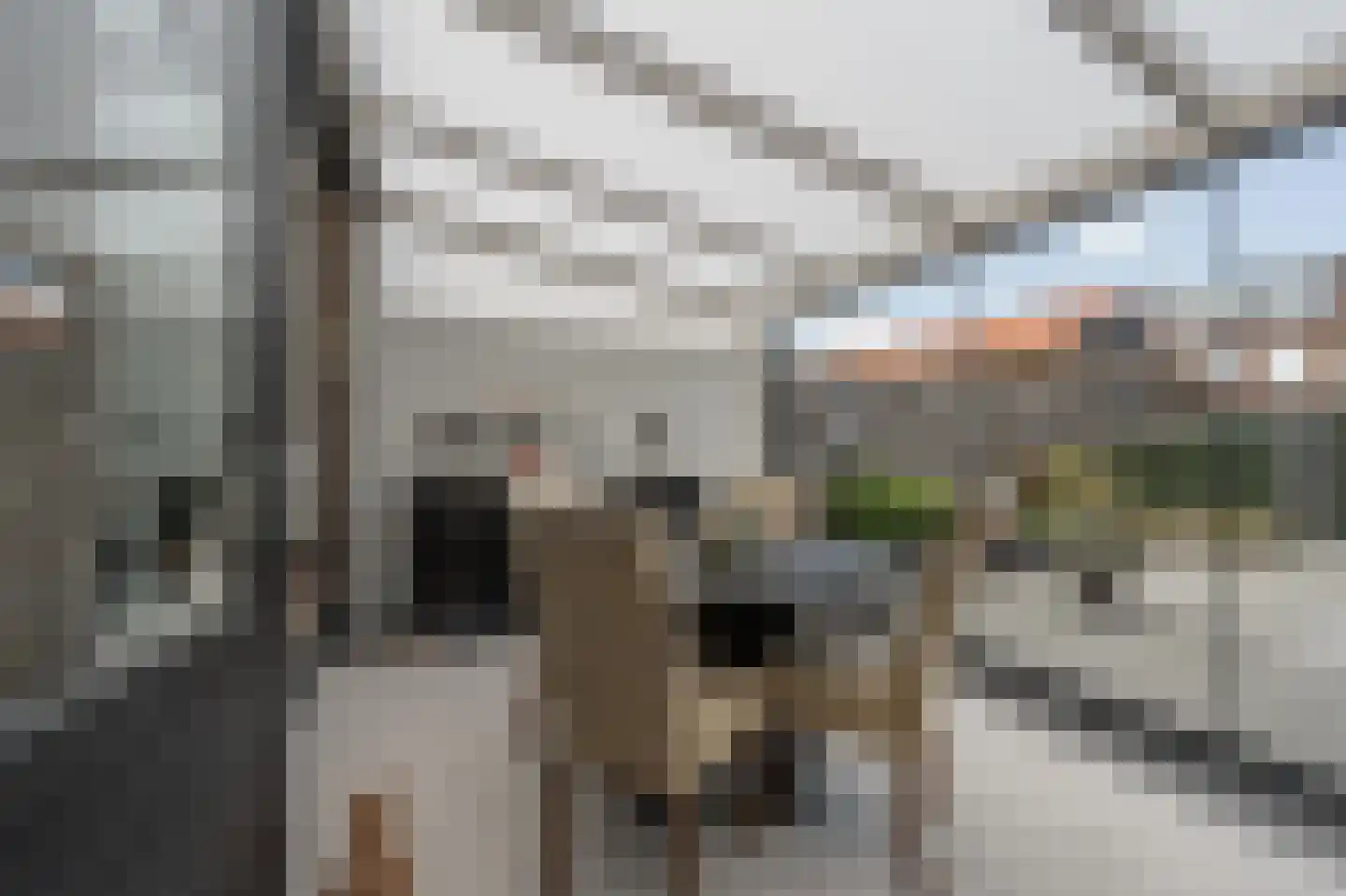 Schenkelstraat 16 Rhoon thumbnail 21