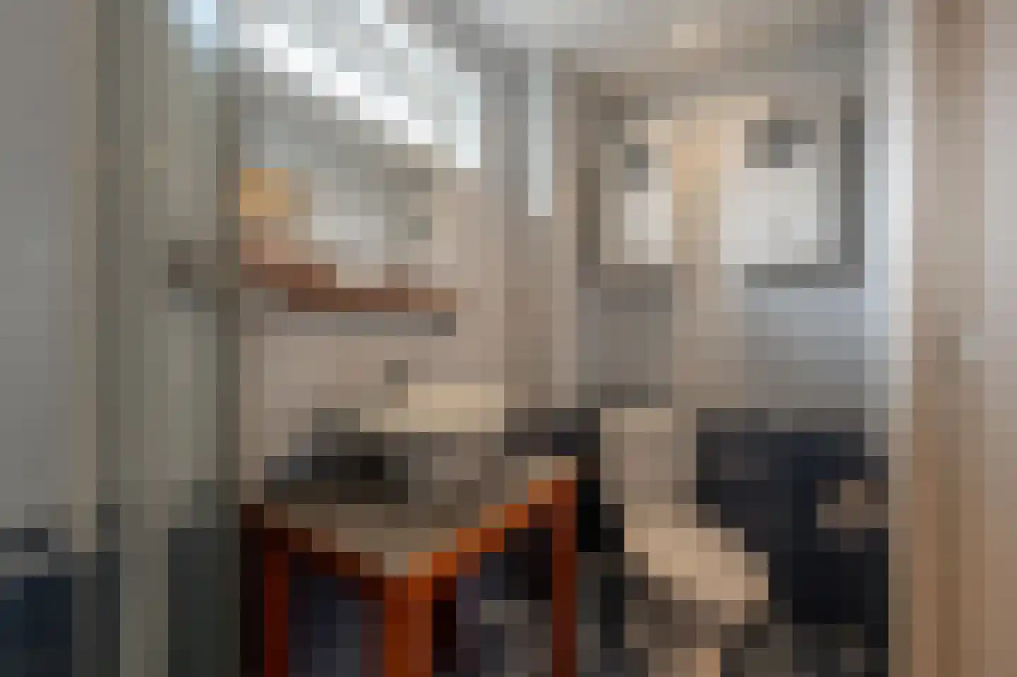 Schenkelstraat 16 Rhoon thumbnail 34