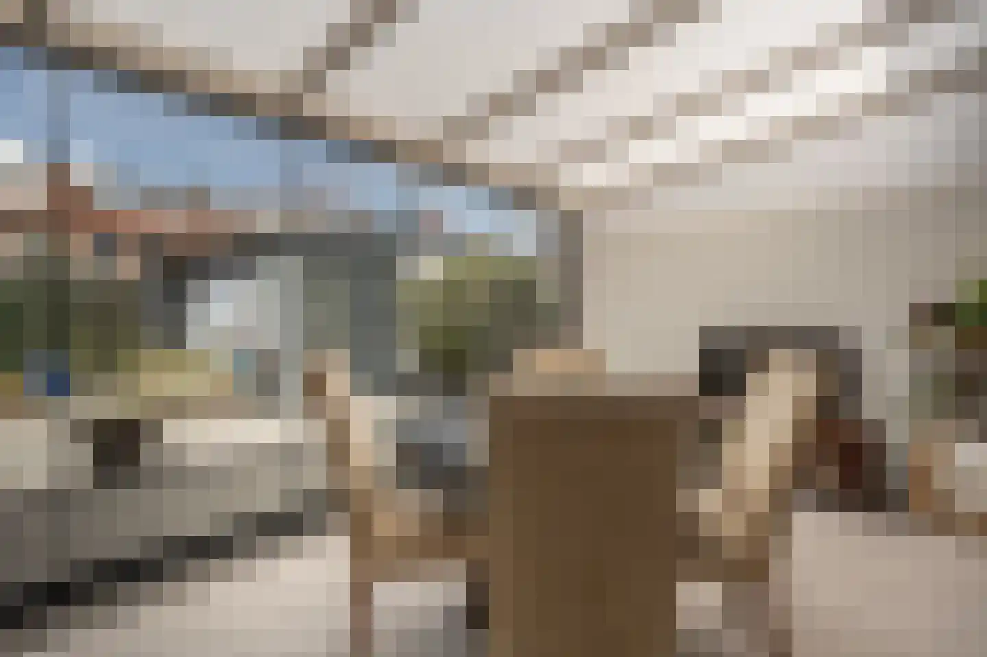 Schenkelstraat 16 Rhoon thumbnail 4
