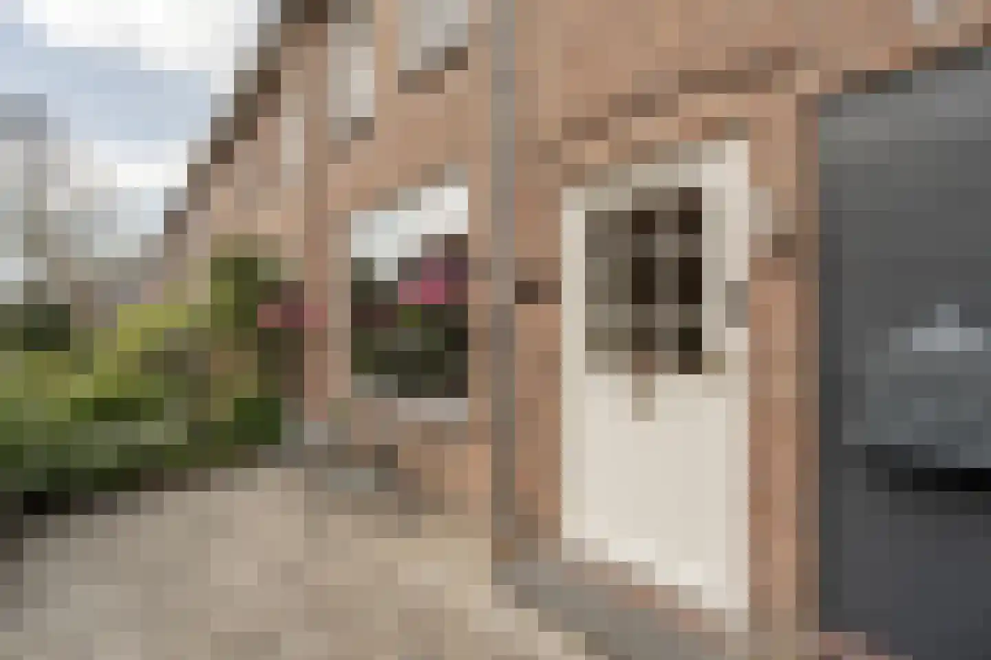 Schenkelstraat 16 Rhoon thumbnail 8