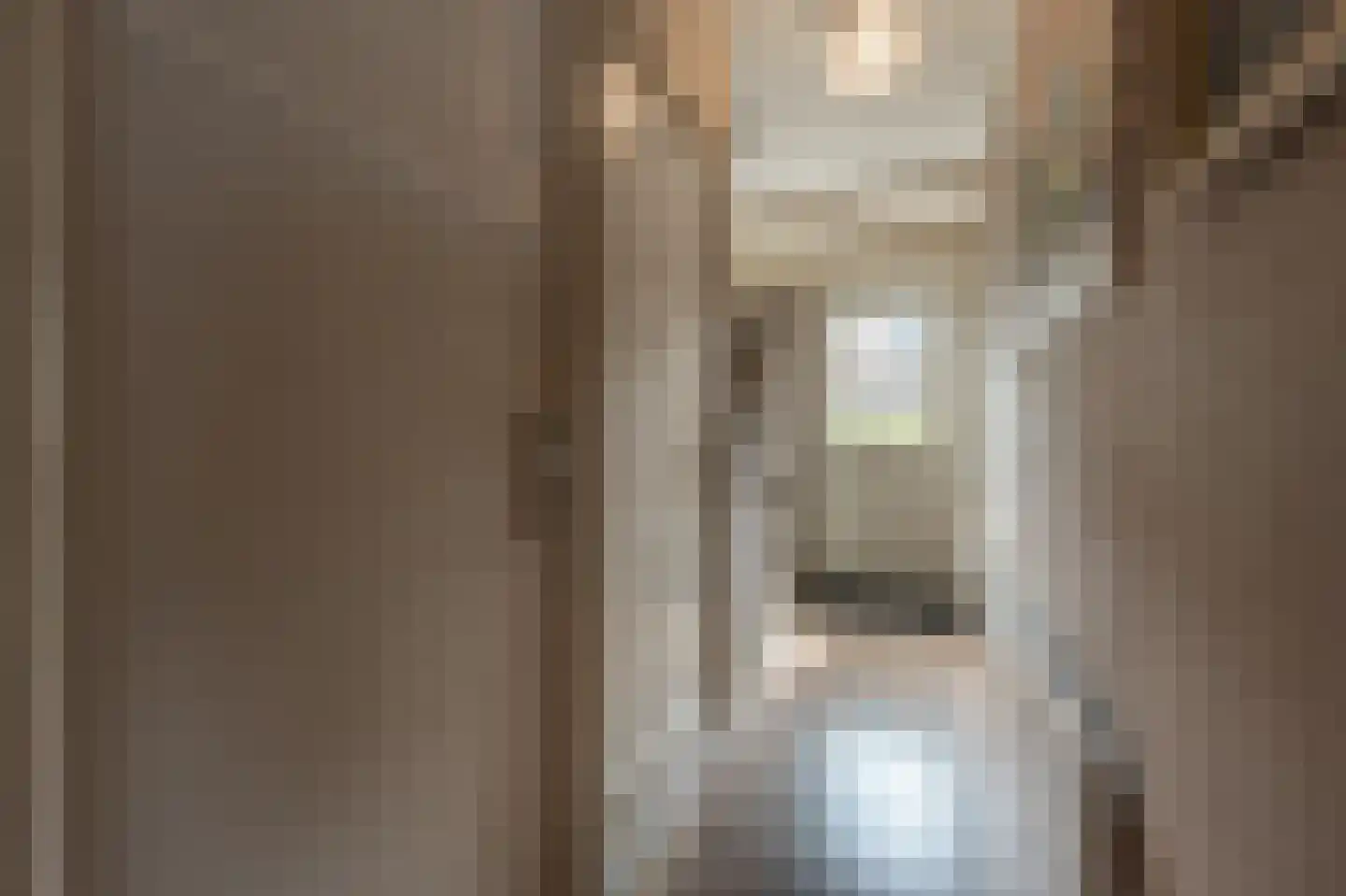 Schenkelstraat 16 Rhoon thumbnail 9