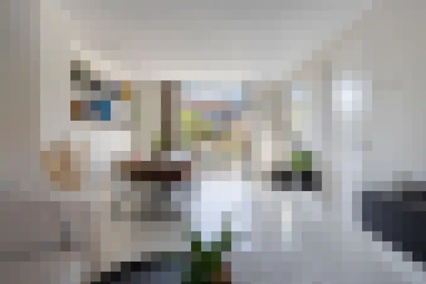 Schenkelstraat 5 Rhoon thumbnail 11