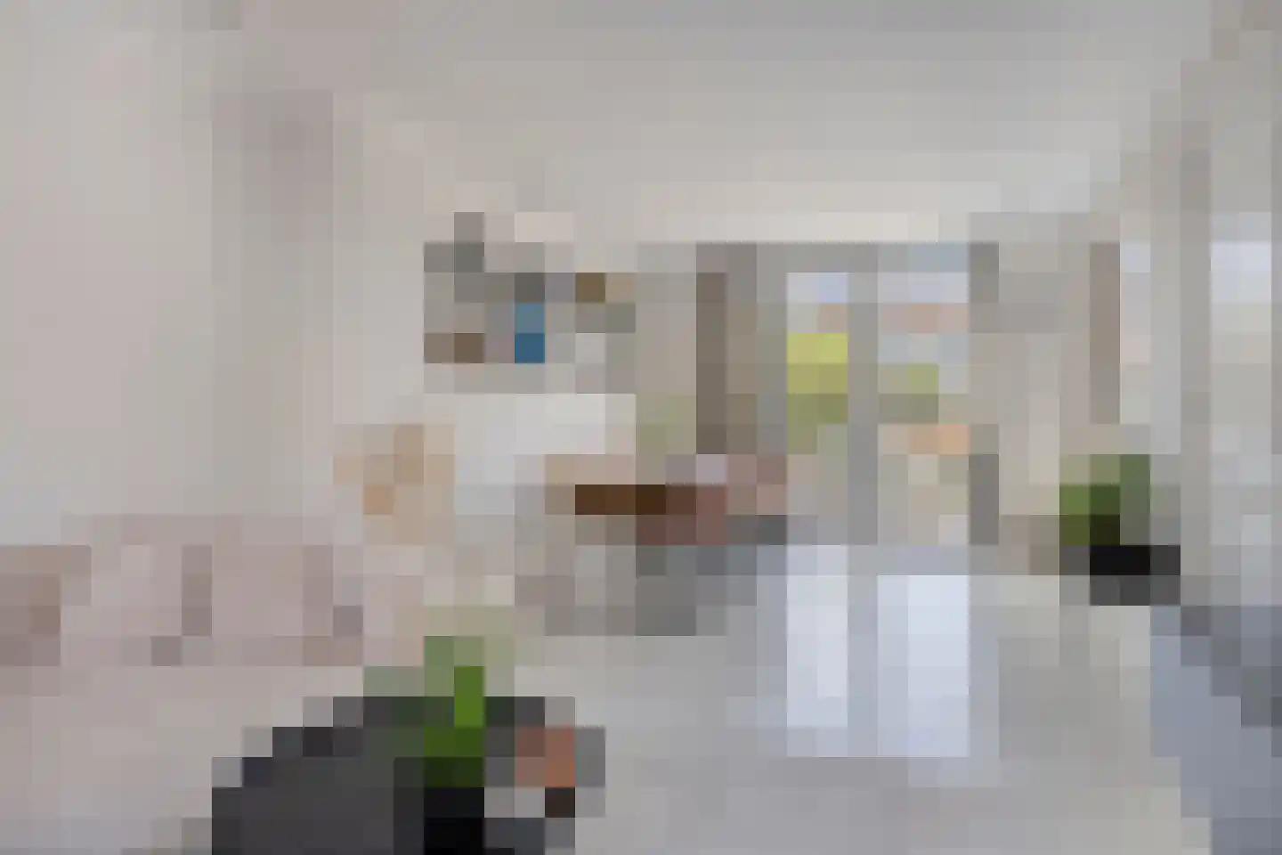 Schenkelstraat 5 Rhoon thumbnail 15