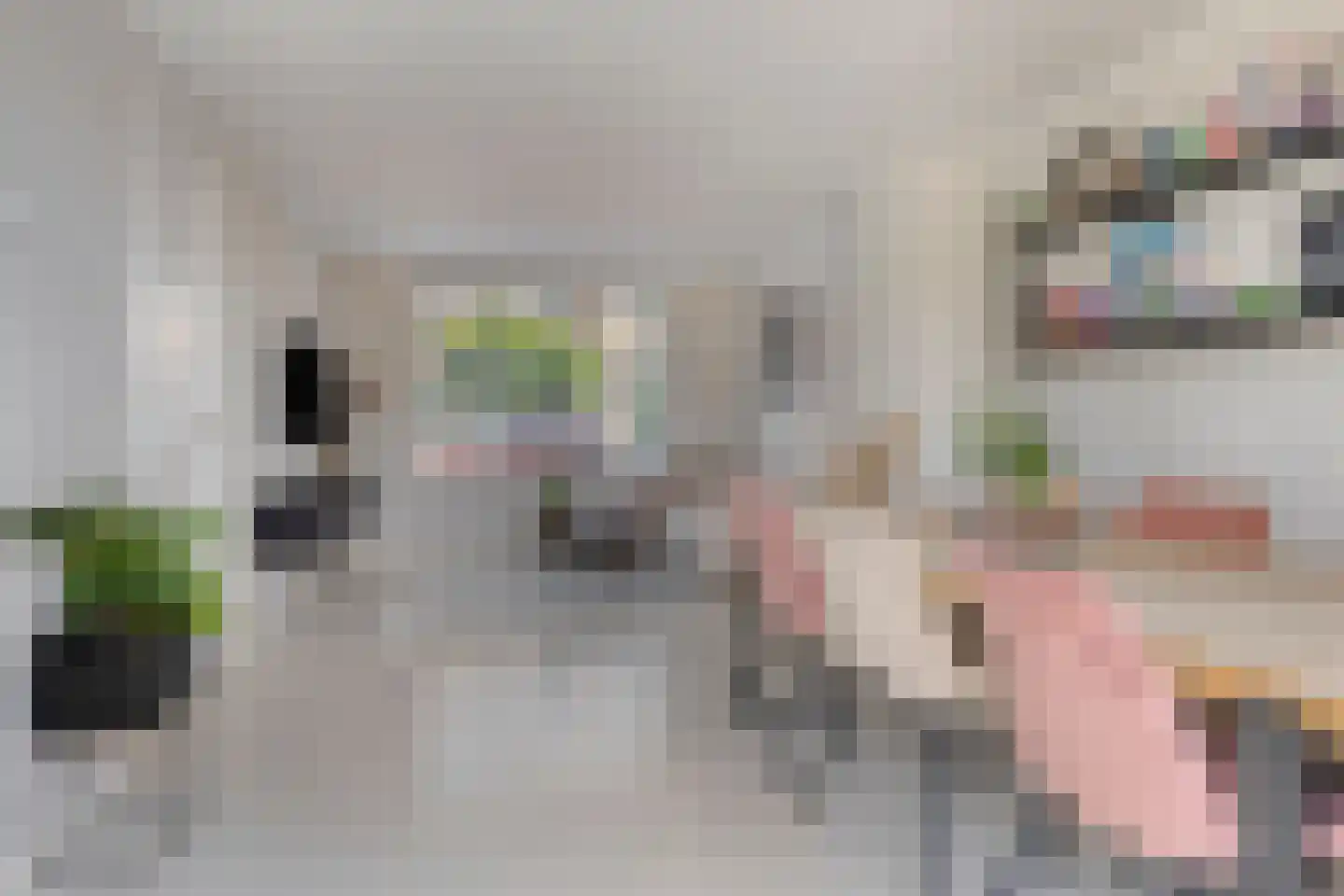 Schenkelstraat 5 Rhoon thumbnail 17