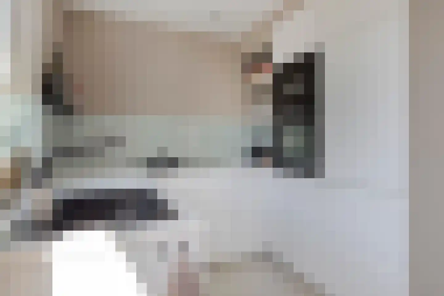 Schenkelstraat 5 Rhoon thumbnail 20