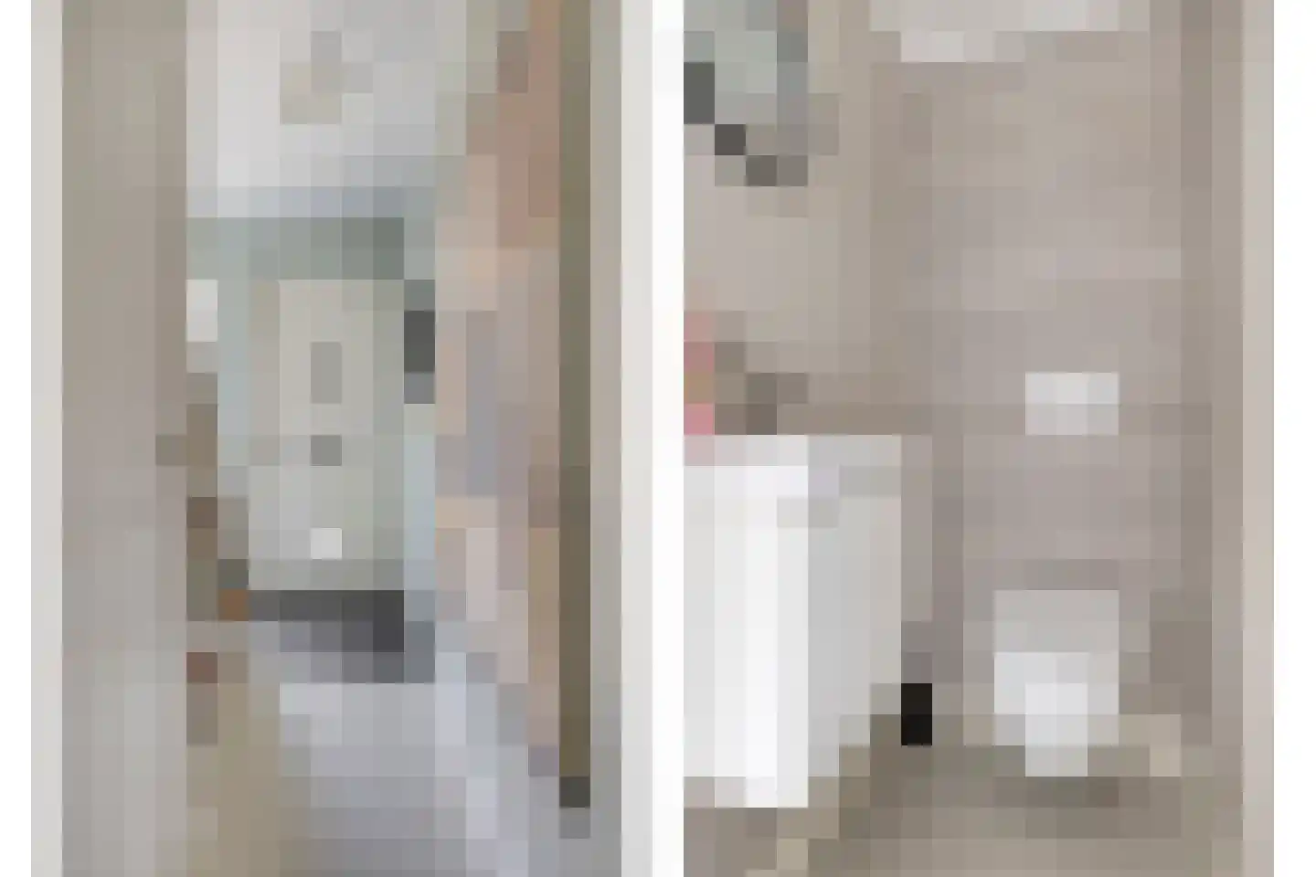 Schenkelstraat 5 Rhoon thumbnail 21