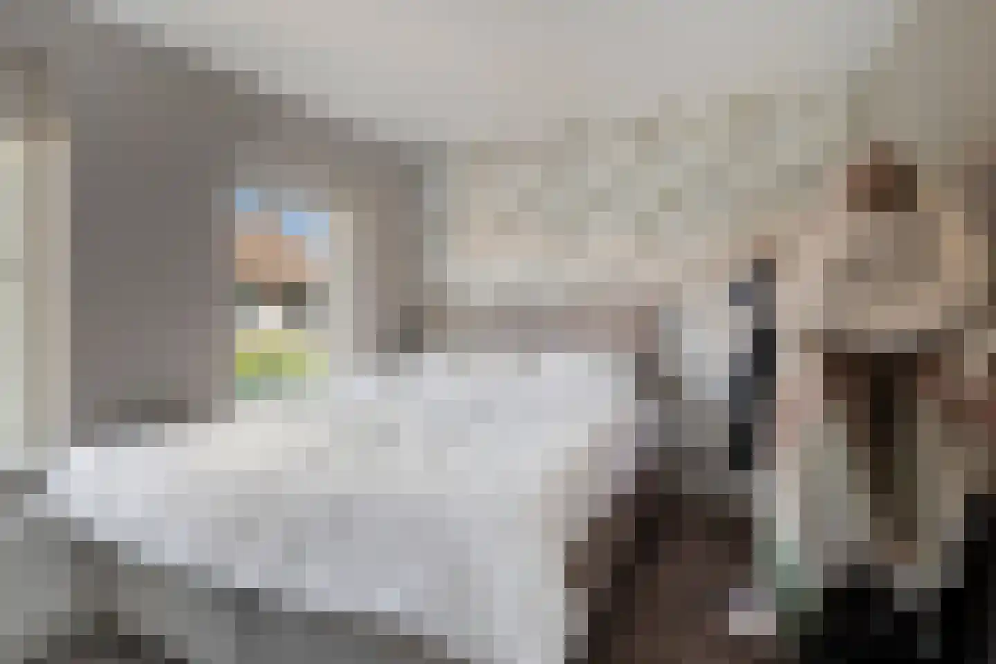 Schenkelstraat 5 Rhoon thumbnail 23