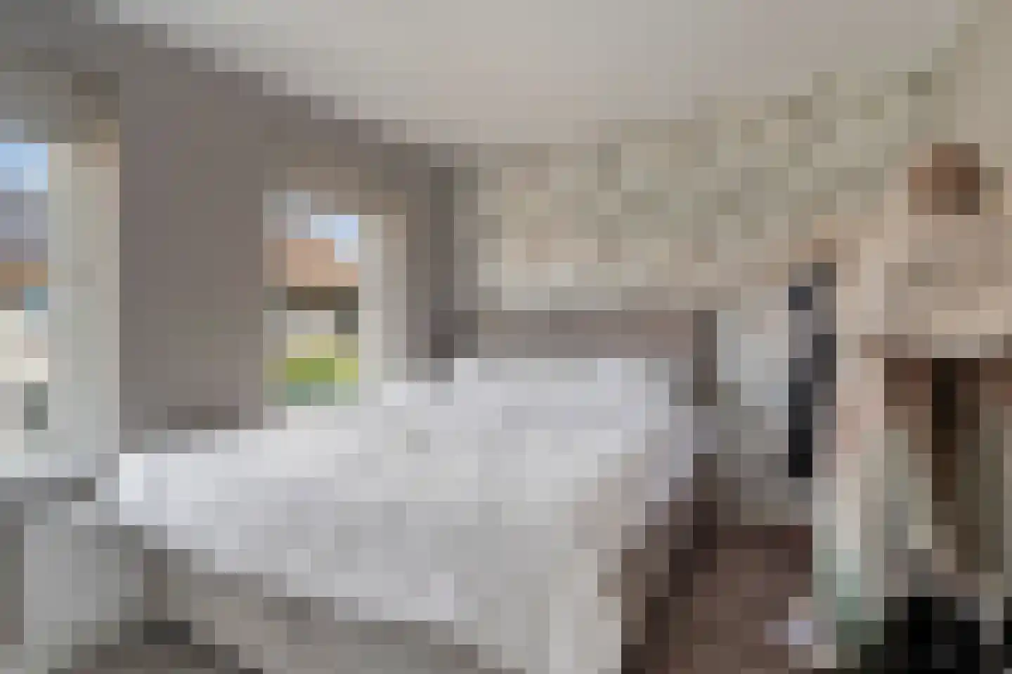 Schenkelstraat 5 Rhoon thumbnail 24
