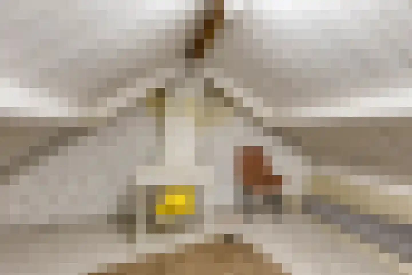 Schenkelstraat 5 Rhoon thumbnail 33