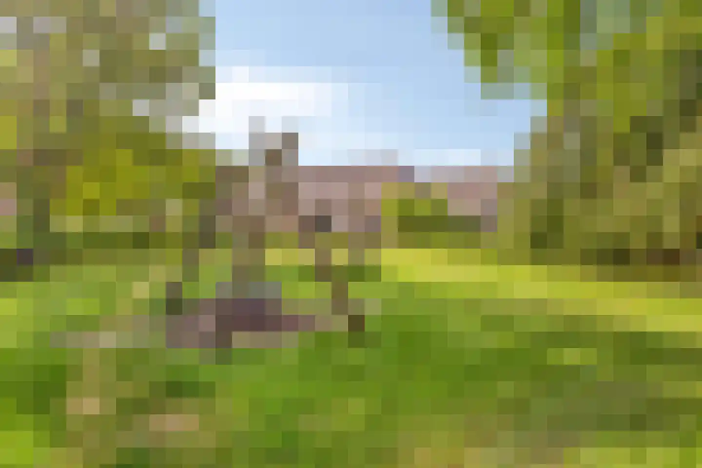 Schenkelstraat 5 Rhoon thumbnail 41