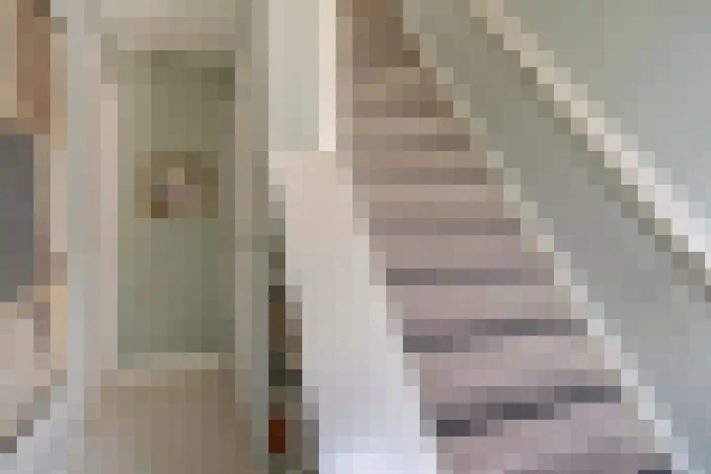 Schenkelstraat 5 Rhoon thumbnail 6