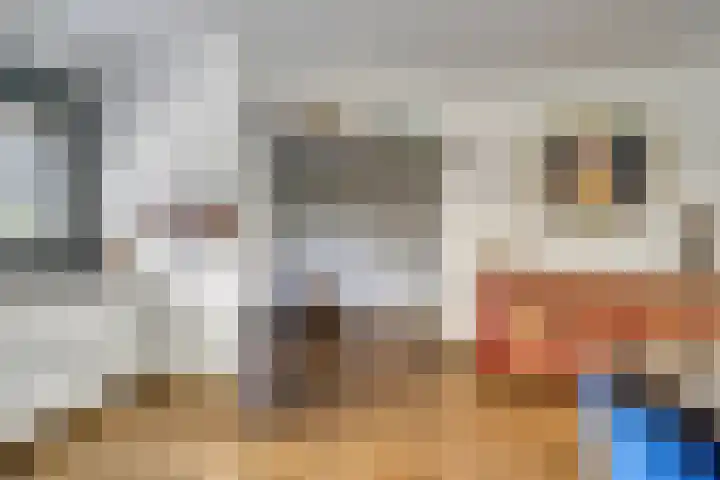 Schenkelweg 2 C Zoeterwoude thumbnail 13