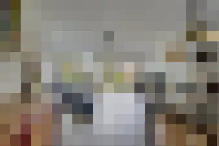 Schenkelweg 2 C Zoeterwoude thumbnail 14