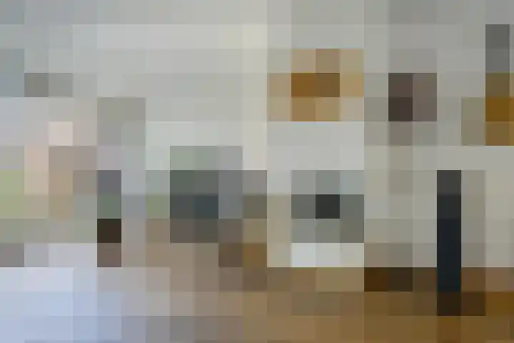 Schenkelweg 2 C Zoeterwoude thumbnail 18