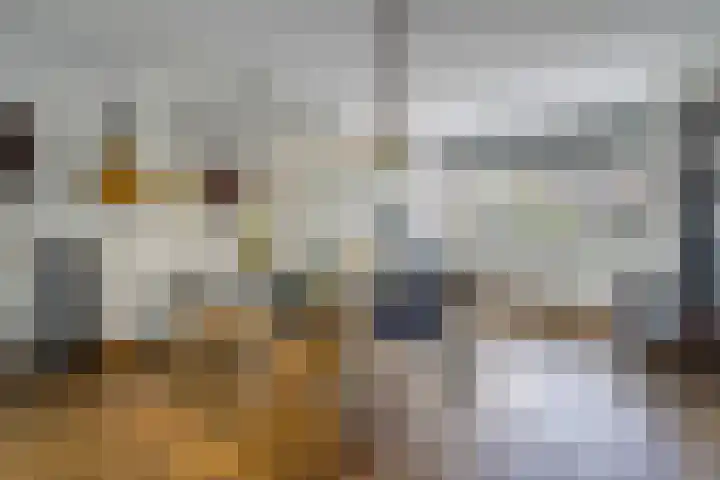 Schenkelweg 2 C Zoeterwoude thumbnail 21