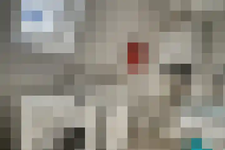 Schenkelweg 2 C Zoeterwoude thumbnail 34