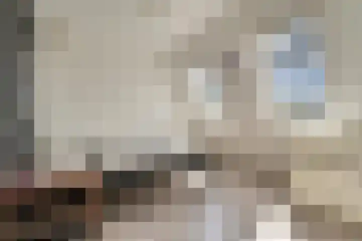 Schenkelweg 2 C Zoeterwoude thumbnail 37