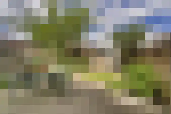 Schenkelweg 2 C Zoeterwoude thumbnail 8