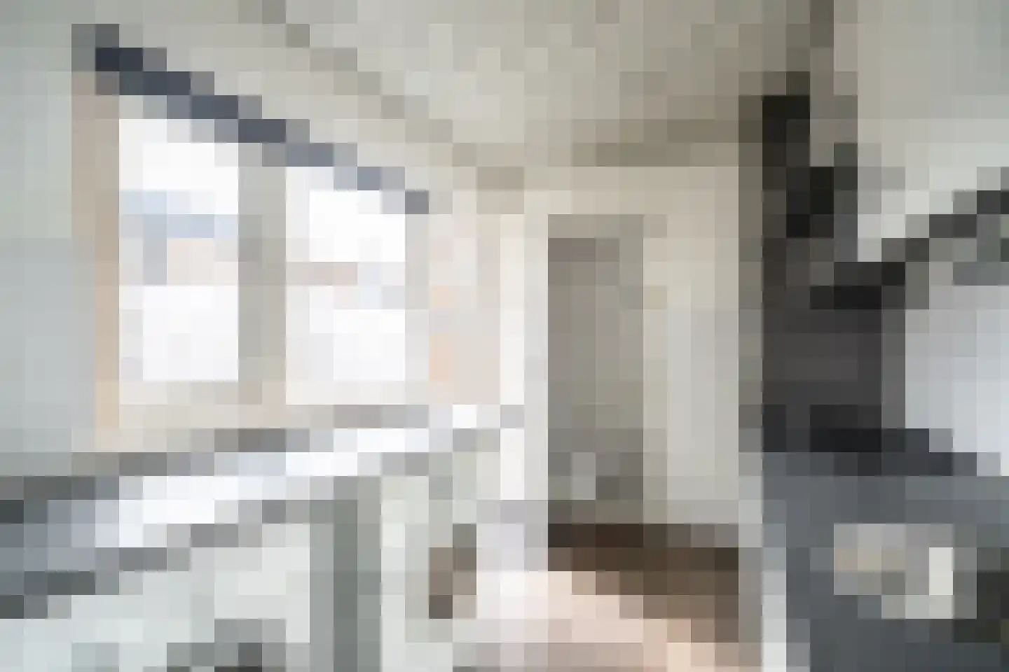 Schenkelweg 85 Zoeterwoude thumbnail 11
