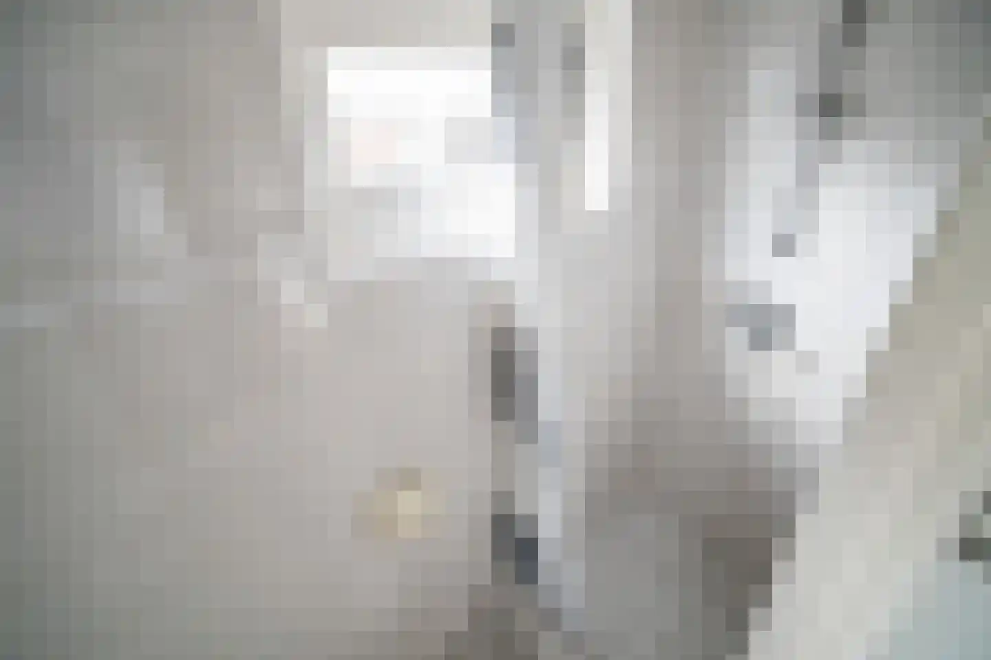 Schenkelweg 85 Zoeterwoude thumbnail 14