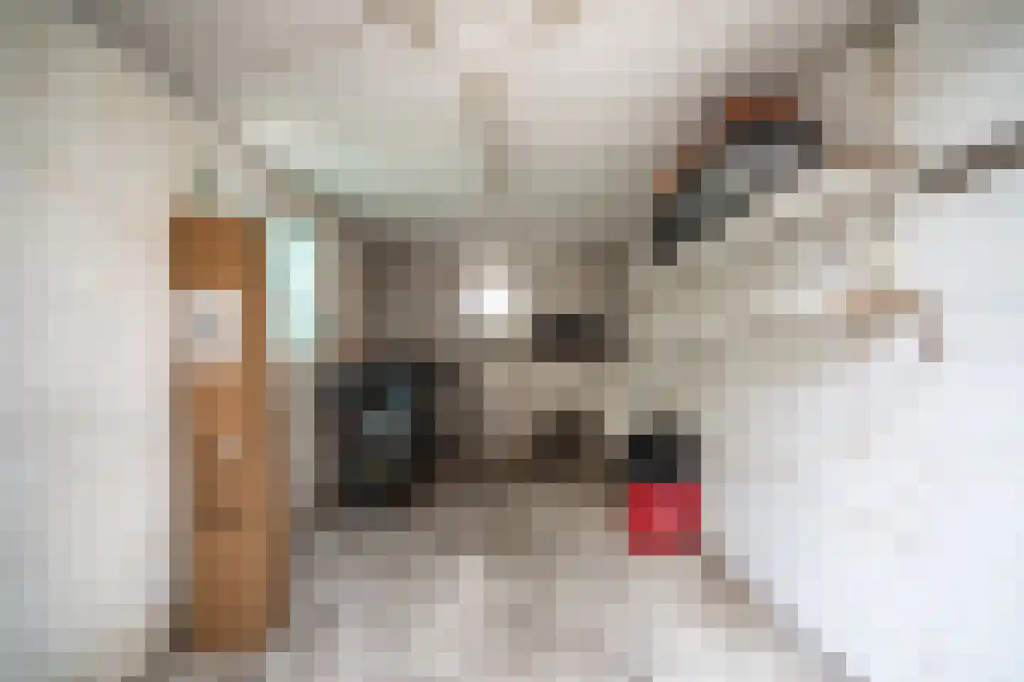 Schenkelweg 85 Zoeterwoude thumbnail 18